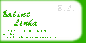 balint linka business card